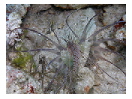 thumbnail2