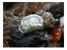 thumbnail24