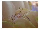 thumbnail2