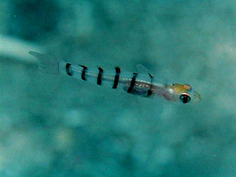 image9
