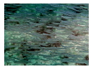 thumbnail13