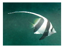 thumbnail2