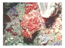 thumbnail22