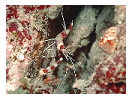thumbnail23