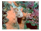 thumbnail5