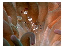 thumbnail6