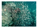 thumbnail11