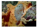 thumbnail2