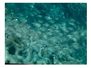 thumbnail5
