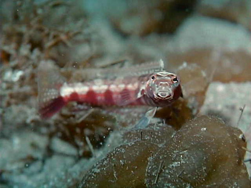 image9