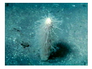 thumbnail10