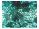 thumbnail2