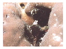 thumbnail11