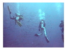 thumbnail2