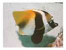 thumbnail23