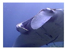thumbnail29