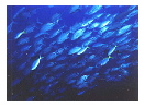 thumbnail6