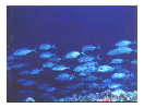 thumbnail9