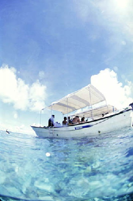 image6