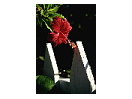 thumbnail12