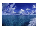 thumbnail14