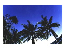 thumbnail16