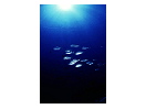 thumbnail21