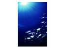 thumbnail22