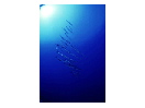 thumbnail4