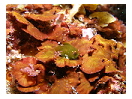thumbnail2