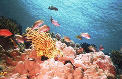 image4