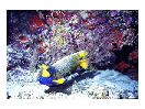 thumbnail5
