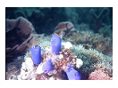 thumbnail5