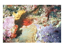 thumbnail7