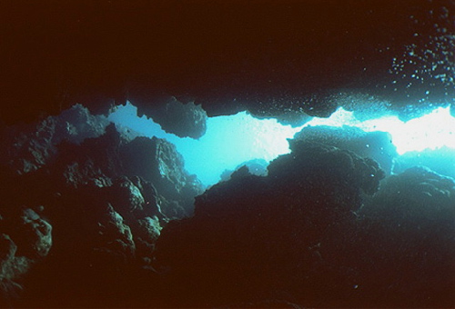 image5
