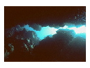 thumbnail5